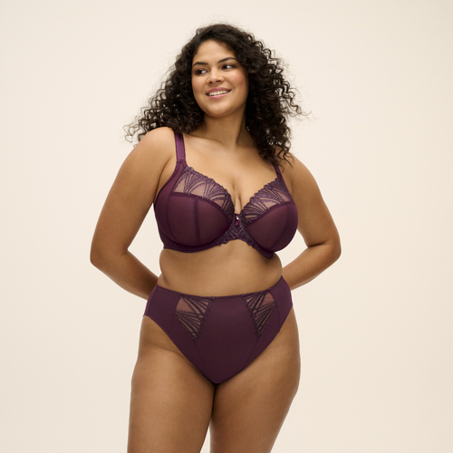 Reja Fig Underwire Plunge Bra Fig 