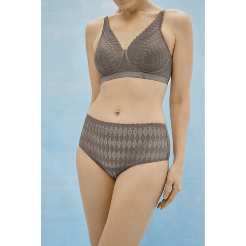 Lotus Brief Iron 