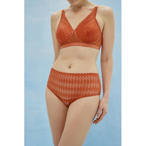 Lotus Brief Rust 